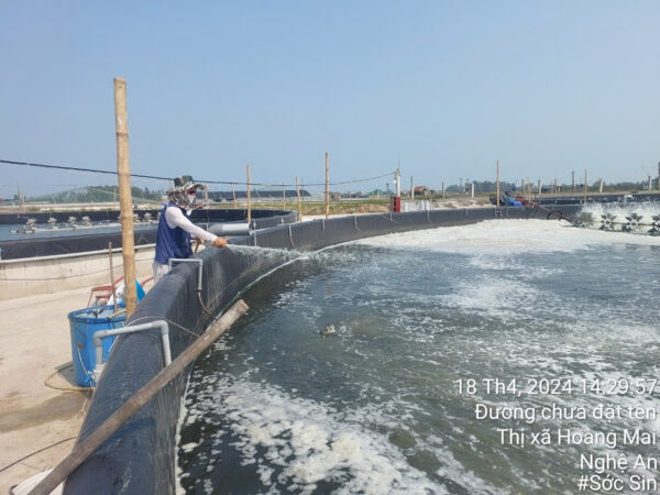 Hinh anh minh hoa.jpg 3